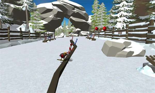 滑雪鸟图3