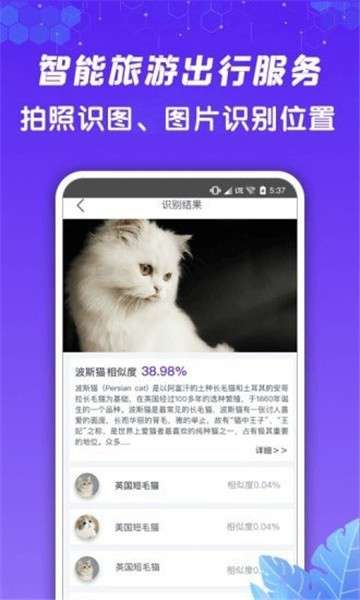 九州高清街景图3
