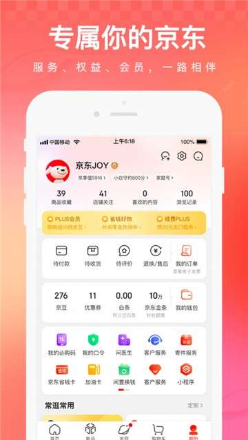 京东双11图1