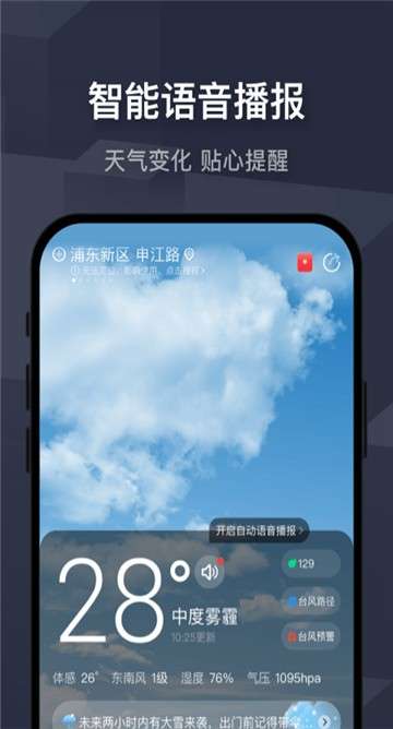 飞鱼天气图1