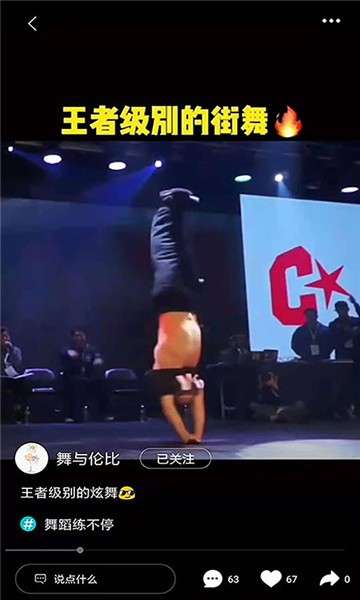 才艺猫图2