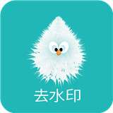 水印剪辑大师