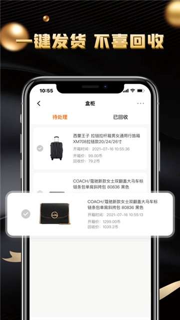 锦鲤盲盒图4