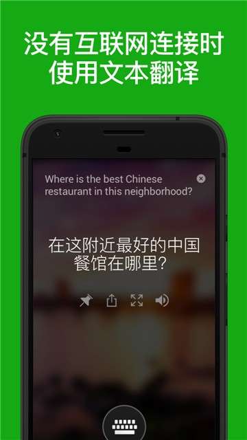 豆拍拍照翻译图5