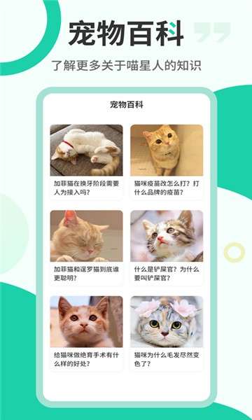 猫叫翻译机图5