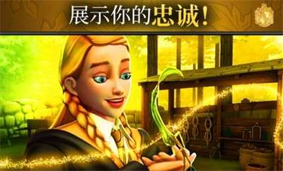 哈利波特霍格沃茨的秘密国际服图2