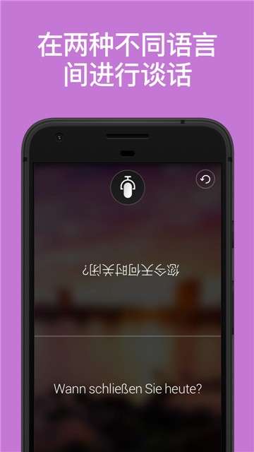 豆拍拍照翻译图1