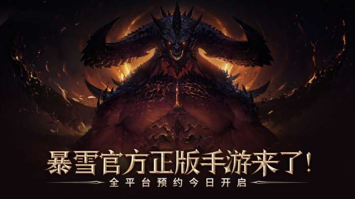 代号大菠萝图2