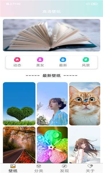 壁纸主题大全图5