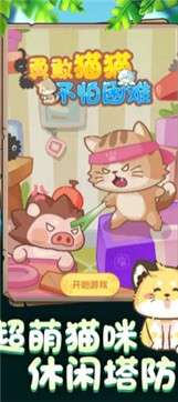 勇敢猫猫不怕困难图1
