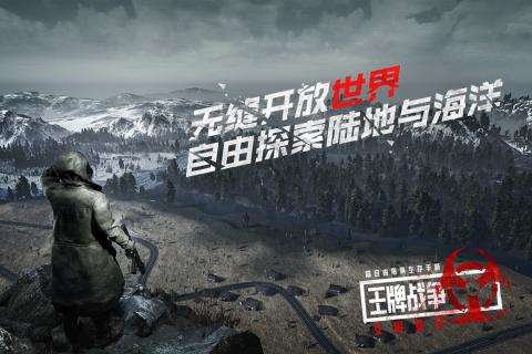 王牌战争代号英雄图2