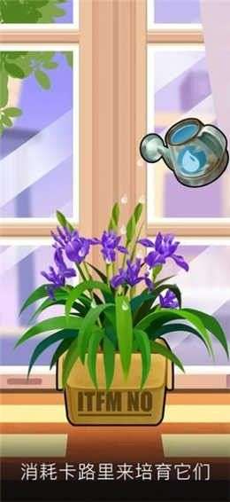 合成花园红包版图1