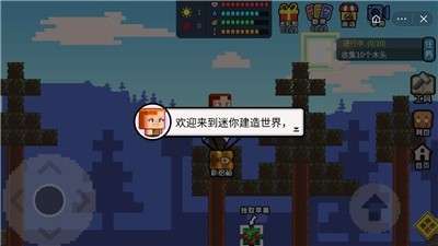 像素世界模拟器图2