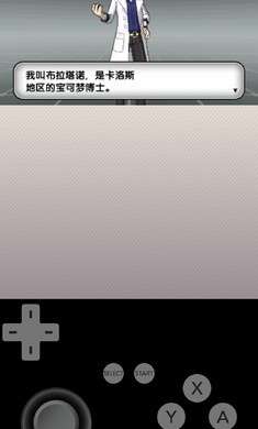 精灵宝可梦X全随机图3