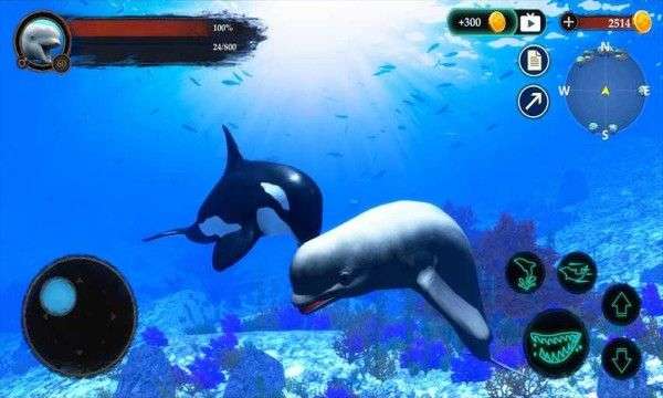 白鲸模拟器图1