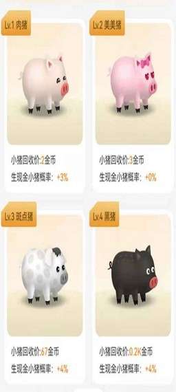 一起养猪致富图2