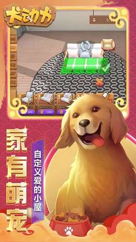 大丹犬的一天图3