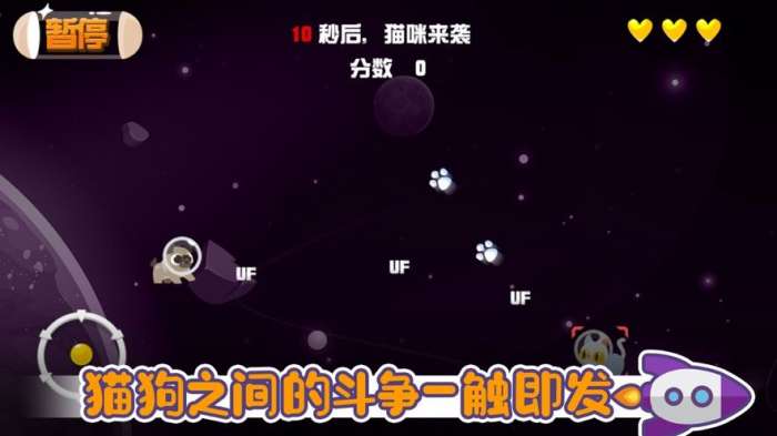 宠物狗沙龙图3