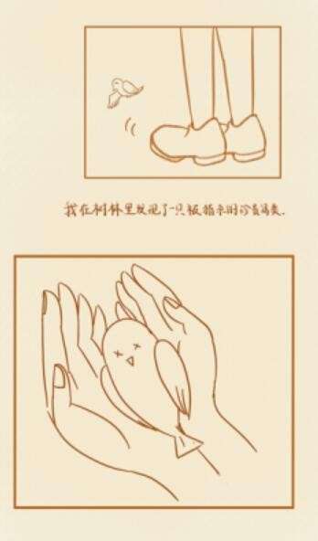 观鸟共栖图2