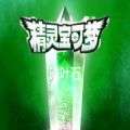 精灵宝可梦磷叶石