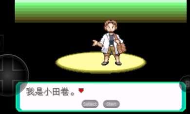 究极绿宝石B神战纪念图2