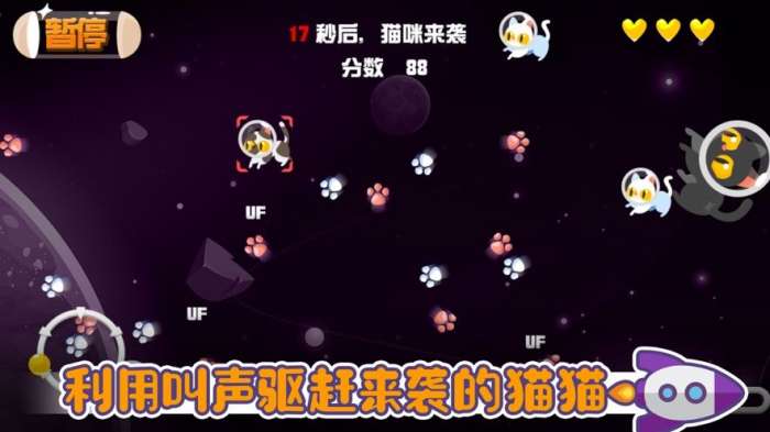 宠物狗沙龙图2