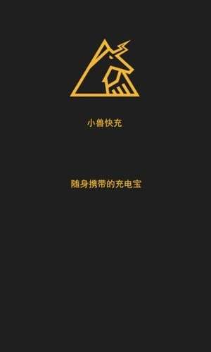 小兽快充图1