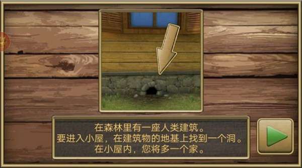 疯狂老鼠公园图3