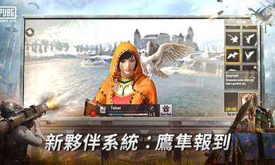 绝地求生lite图2