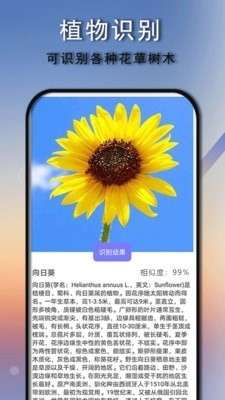 拍照识别识物免费版图3