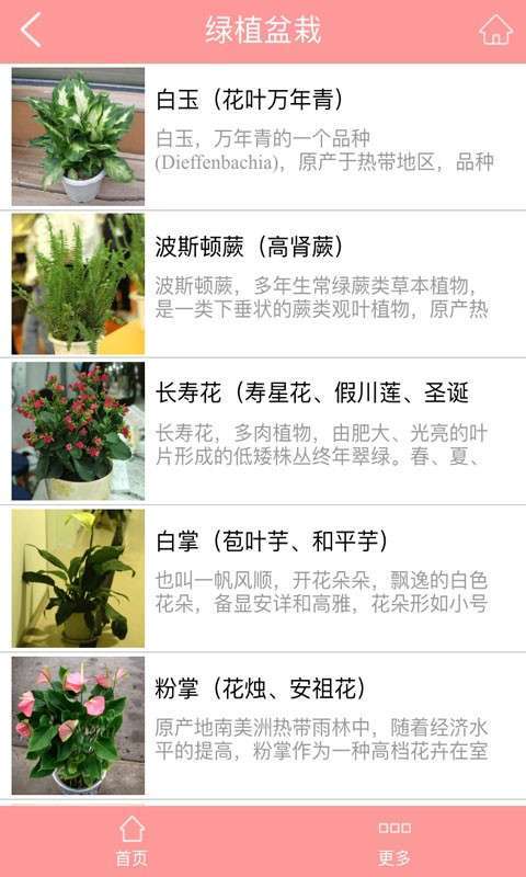 鲜花平台图4