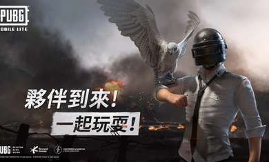 绝地求生lite图1