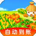 我家小菜园