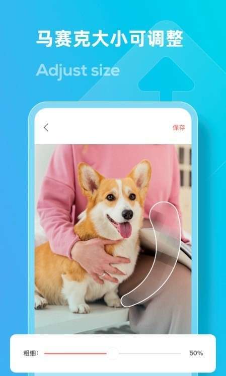 LOOX马赛克图3