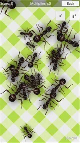 蚂蚁模拟器无限食物版图4