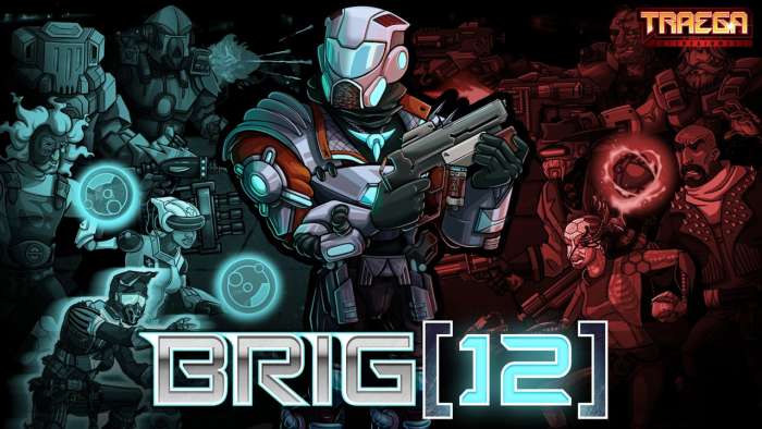 BRIG 12图3