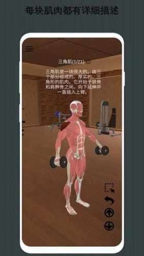 3D健身指南图3