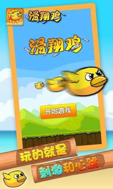 滑翔鸡图3