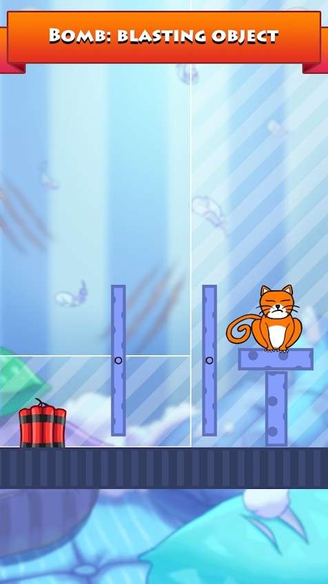 你好，猫咪图1